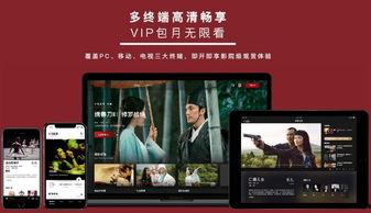 国产sv电影网在线观看,在线观影新体验，畅享国产影视盛宴