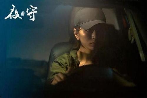 国产电影夜在线观看,国产电影夜在线带你领略光影魅力