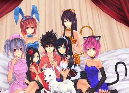 女后宫国产动漫在线看,国产动漫中的女性魅力世界