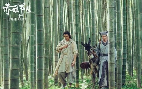 国产书生电影在线观看免费,国产电影免费在线观看，穿越时空的浪漫之旅