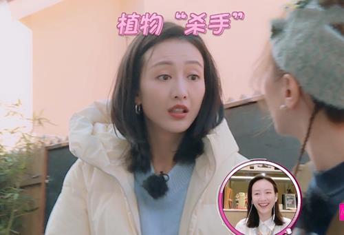 王鸥国产在线看,在线观看不容错过